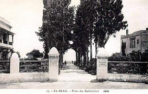 Alger - El-Biar - Parc du Belvedere - 1934
